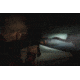 Viridian Weapon Technologies 4LUX CQ 400 Lumen Grip Light, Black, 912-0072