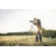 Vortex Crossfire HD 20-60x80 Spotting Scope, Angled, Green, CF-80A