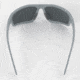 WarBird Sleeper Cell Glasses