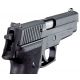 XS Sight Systems DXT Big Dot for Sig P225, P226, P228, P229, P320, Springfield XD, XDm &amp; XDs SI-0002S-5