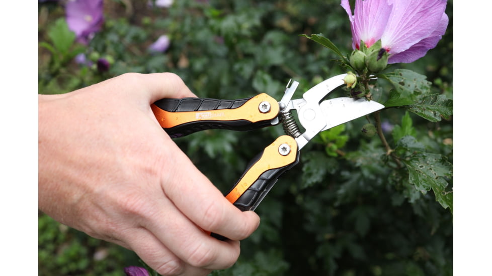 AccuSharp 085C Sportsmans Multi-Tool Black/Orange Folding Plain