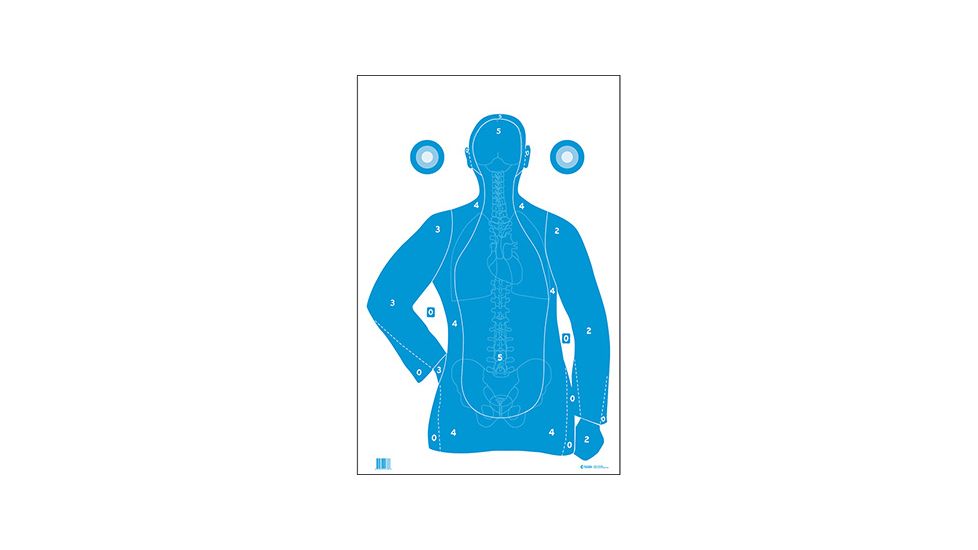 Action Target B-21E Blue w/Anatomy Scoring 100 Per Case, Blue, 23in x 35in, F-B21EANT-AV2-100