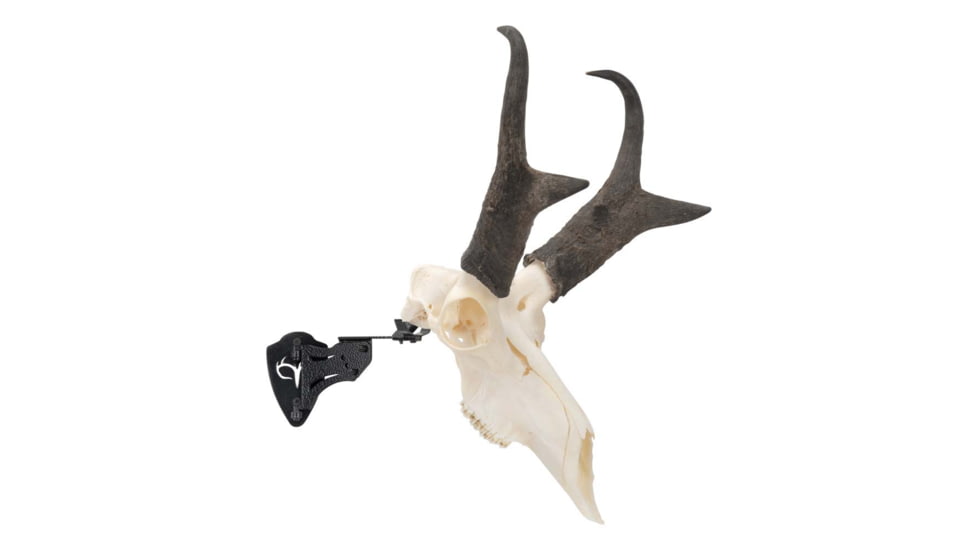 Allen EZ Mount Skull Stand Deer Size, 7203