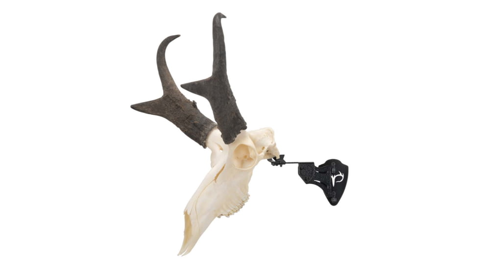Allen EZ Mount Steel Skull Stand, Rotational Adjustable, Max-weight 15 pounds, Black, 7203