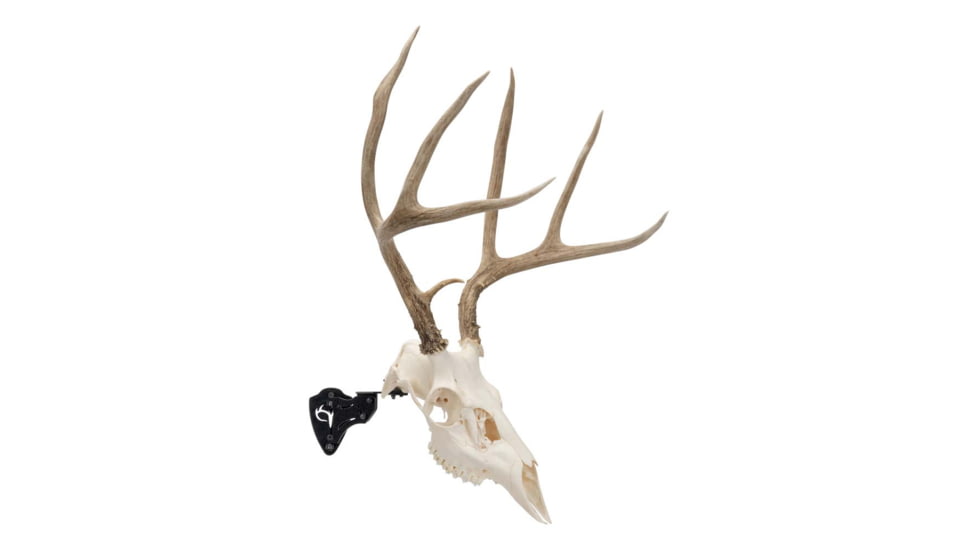 Allen EZ Mount Skull Stand Deer Size, 7203