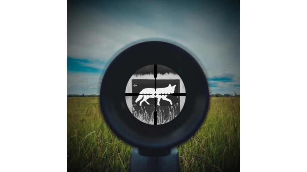 Allen Thermal ID Coyote Paper Target, Gray, 24 Inch x 12 Inch, 15800