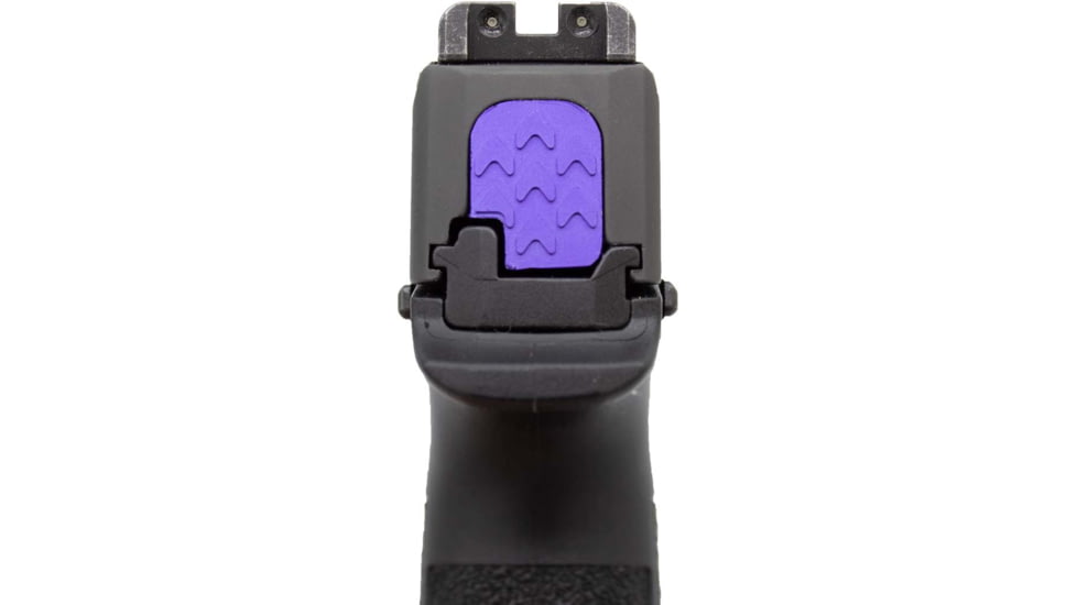 Anarchy Outdoors Slide Plate for Sig 365, Purple, 791617481541