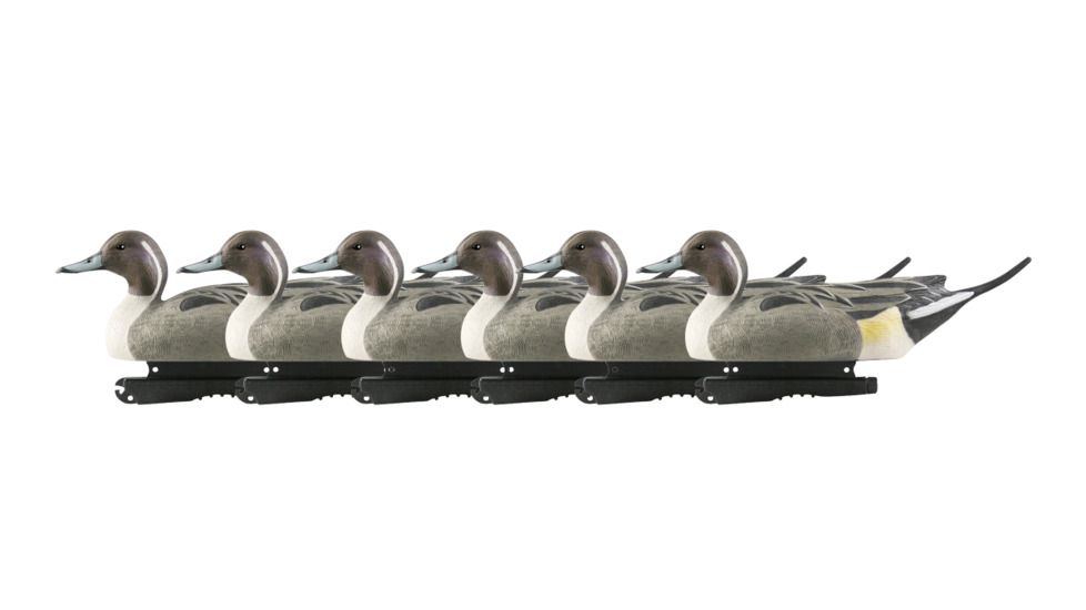 Avery Outdoors Life-Size Pintails, Drake, 1/2 dozen, Realistic Postures, 73050