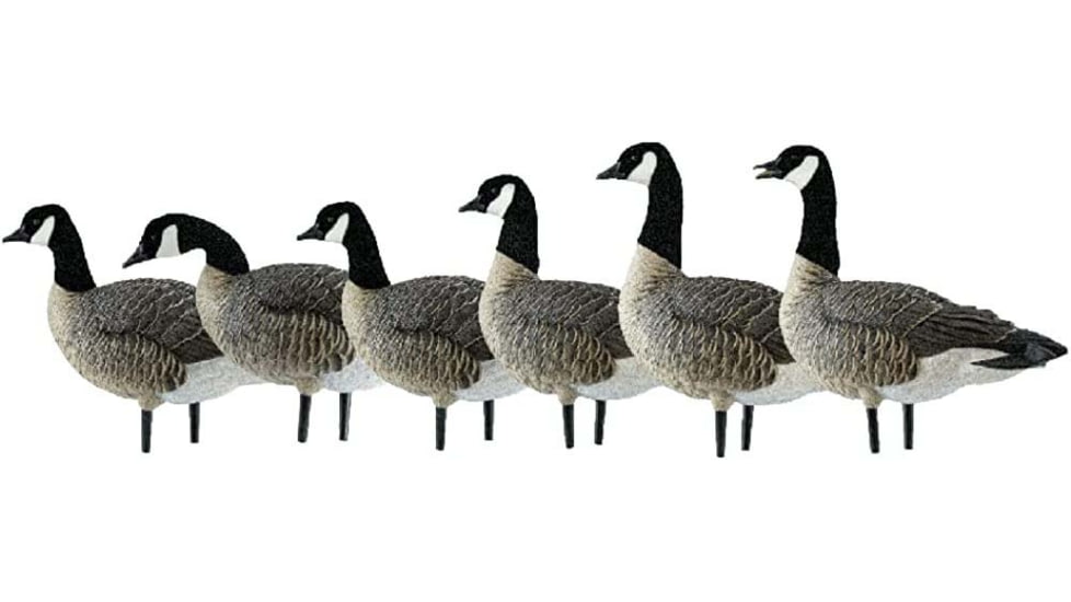 Avian X Active Pack APX Lessers Decoy, AVX-AVX9008