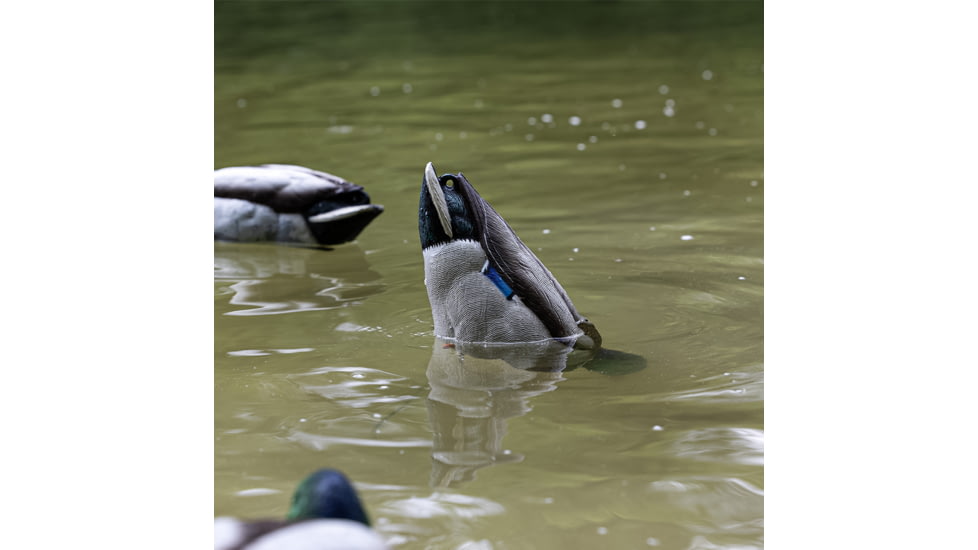 Avian X Tip Up Mallard Feeder