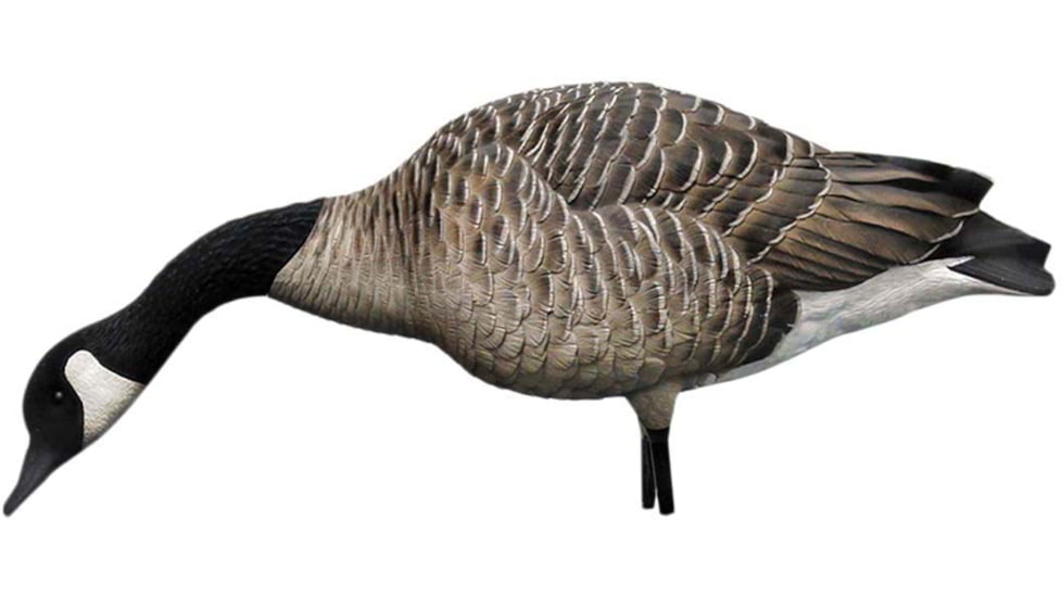 Avian X AXP Goose Decoys, Fusion Honker 6 pk, AVX-AVX9006