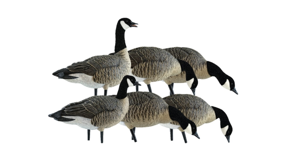 Avian X AXP Lesser Fusion Pack, Black, AVX-LESS-6PK
