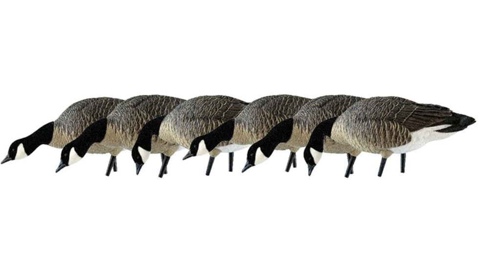 Avian X Feeder Pack APX Lessers Decoy, AVX-AVX9007