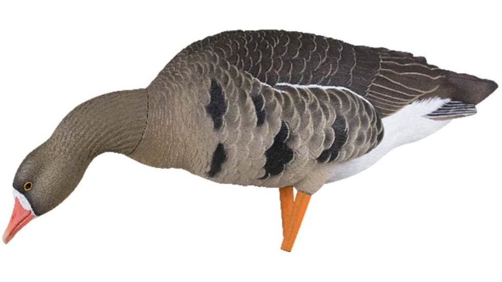 Avian X Fusion Pack AXP Specklebelly Decoy, AVX-AVX9014