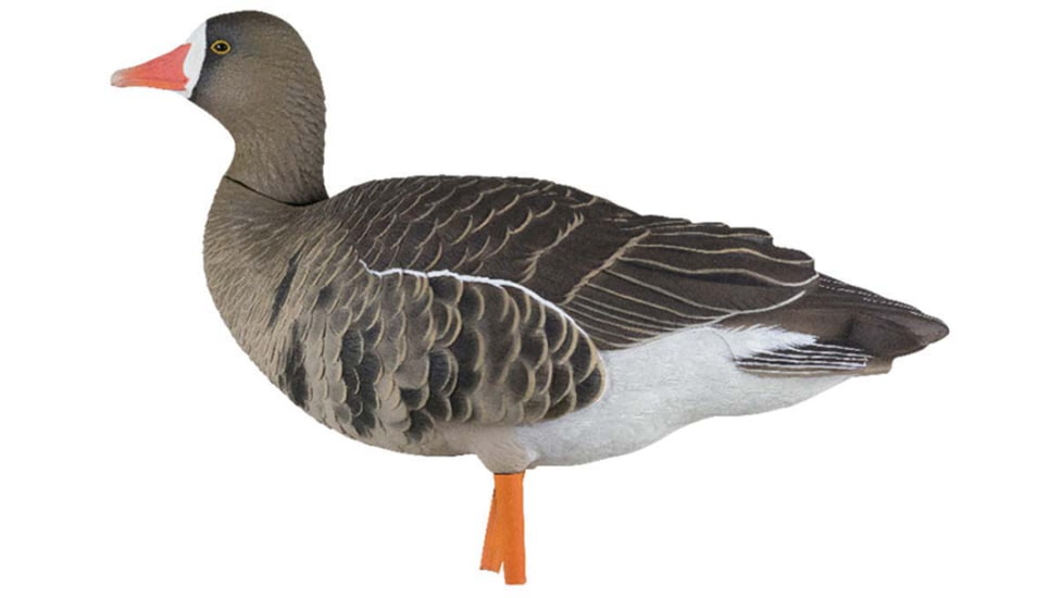 Avian X Fusion Pack AXP Specklebelly Decoy, AVX-AVX9014