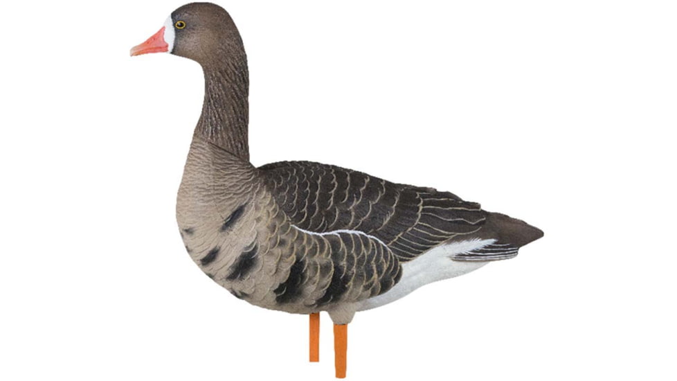 Avian X Fusion Pack AXP Specklebelly Decoy, AVX-AVX9014