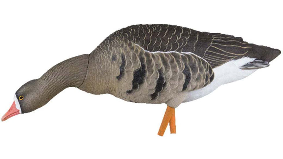 Avian X Fusion Pack AXP Specklebelly Decoy, AVX-AVX9014