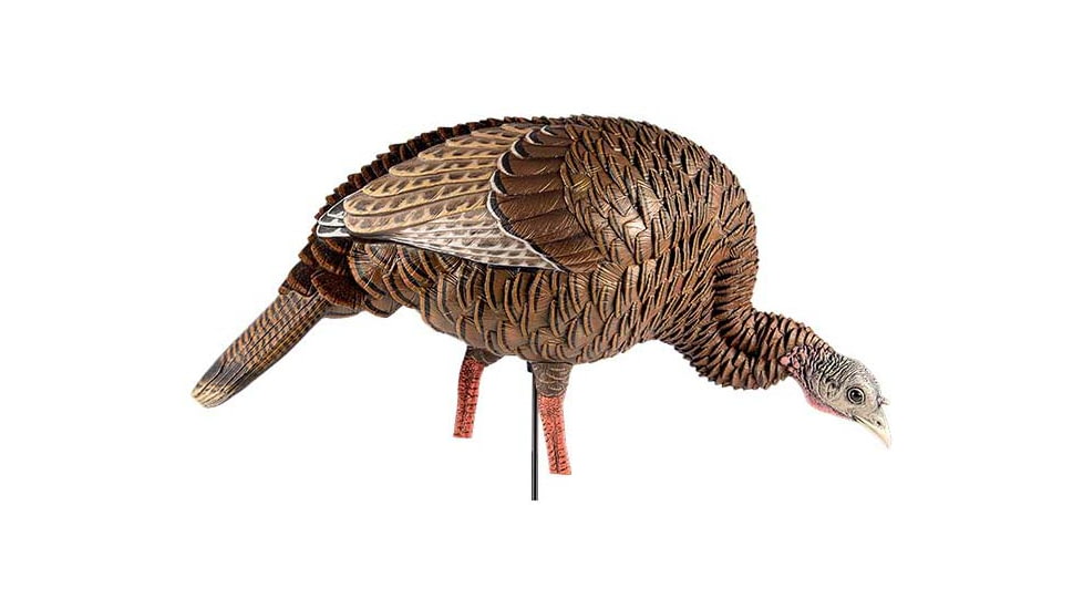 Avian X HDR Feeding Hen Decoy, Synthetic, AVXAVX8107