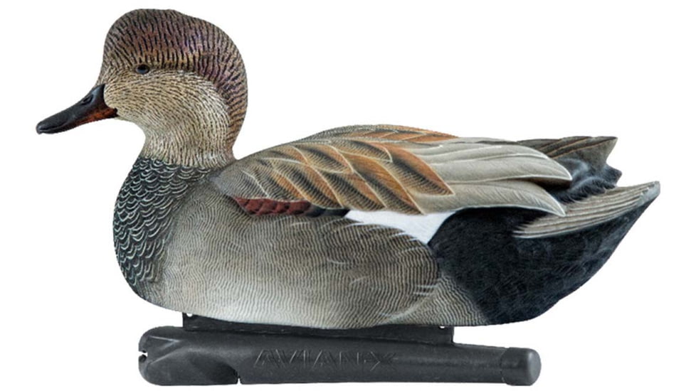 Avian X Power Swimmer Gadwall Drake Duck Decoy, Brown, AVX-PSW-GDSW