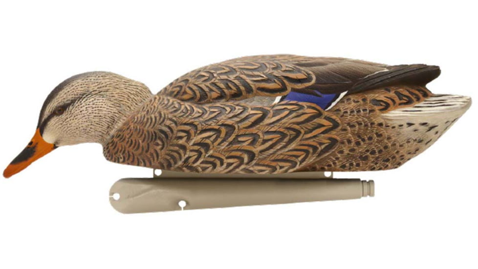 Avian X Top Flight Duck Decoy, Back Water Mallard, 6 pk, AVX-AVX8070