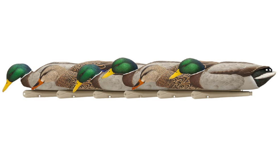 Avian X Top Flight Duck Decoy, Back Water Mallard, 6 pk, AVX-AVX8070
