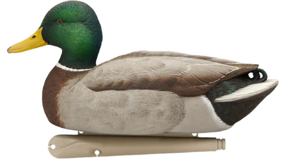 Avian X Top Flight Duck Decoy, Open Water Mallard 6 pk., 8060, AVX-AVX8060