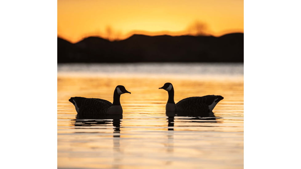 Avian X Top Flight Goose Decoy, Honker Floater 4 pk., AVX-AVX9040, AVX-AVX9040