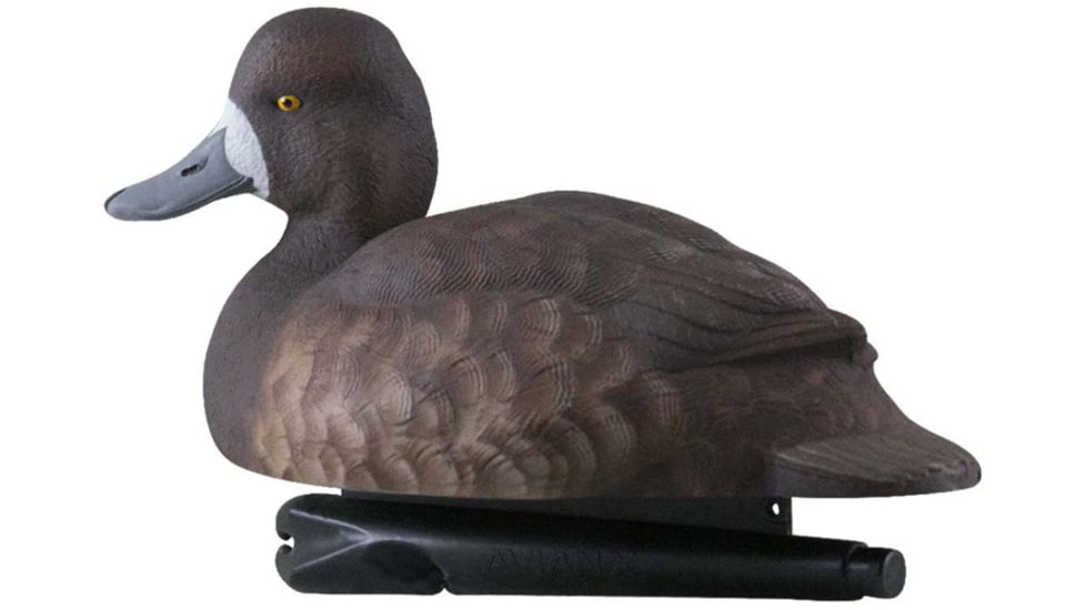 Avian X Topflight Bluebills Decoy, AVX-AVX8088