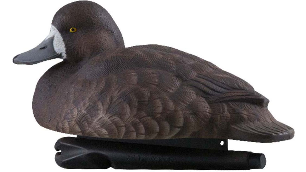 Avian X Topflight Bluebills Decoy, AVX-AVX8088