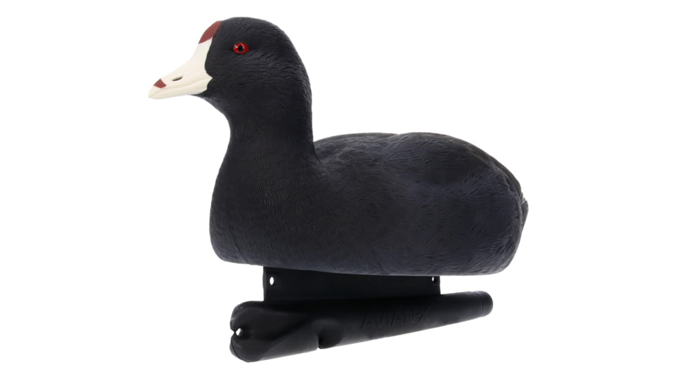Avian X Topflight Floating Decoy, Black, AVX-COOT