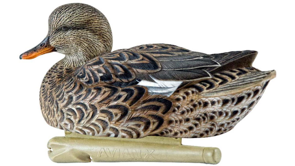 Avian X Topflight Gadwall Decoy, AVX-AVX8085