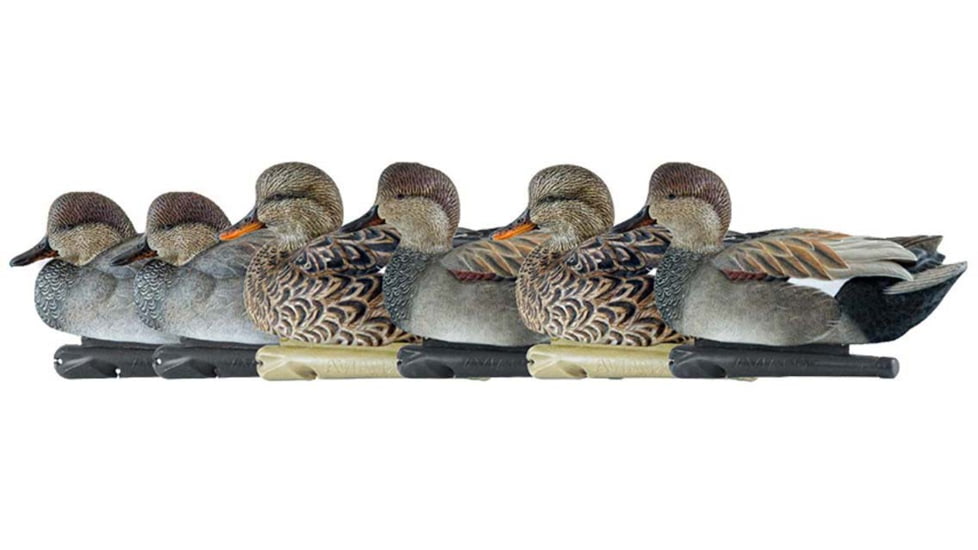 Avian X Topflight Gadwall Decoy, AVX-AVX8085