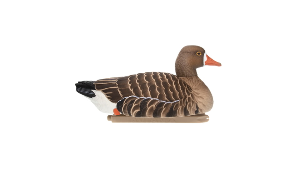 Avian X Topflight Specklebelly Floaters 4 Pack, AVX-SBGF-4PK