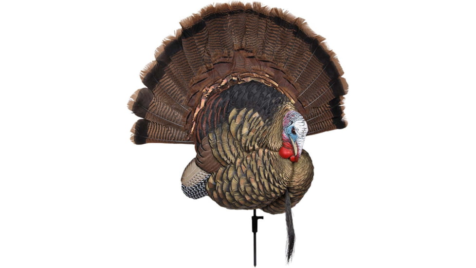 Avian X Turkey Trophy Tom Display Mount/Decoy, Black, AVX-AVX8021