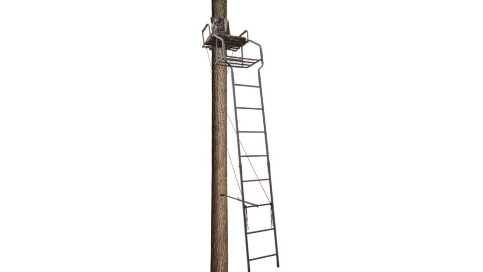 Big Dog Stadium Basic Ladder, Stand 17.5 ft. BDL-365