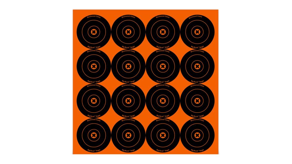 Birchwood Casey Big Burst Revealing Targets, BC-36348