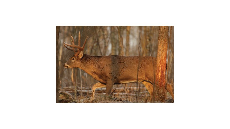 Birchwood Casey Eze-Scorer Whitetail Deer Target Folded 23x35 Inch 2 Per Package, BC-37481