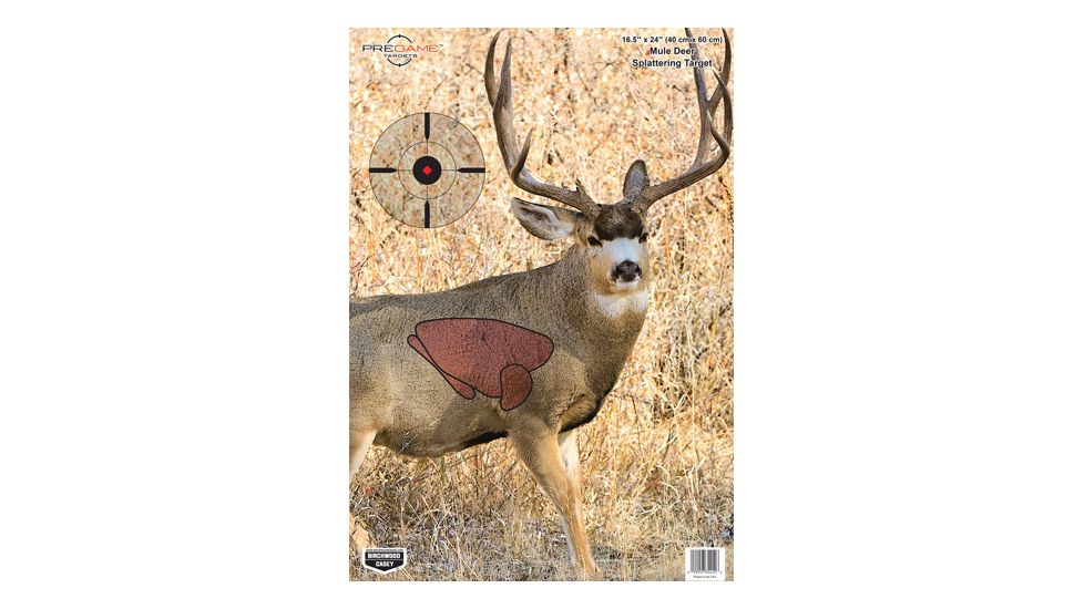 Birchwood Casey Pregame Targets, BC-35402