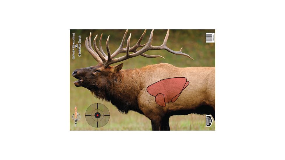 Birchwood Casey Pregame Targets, BC-35404