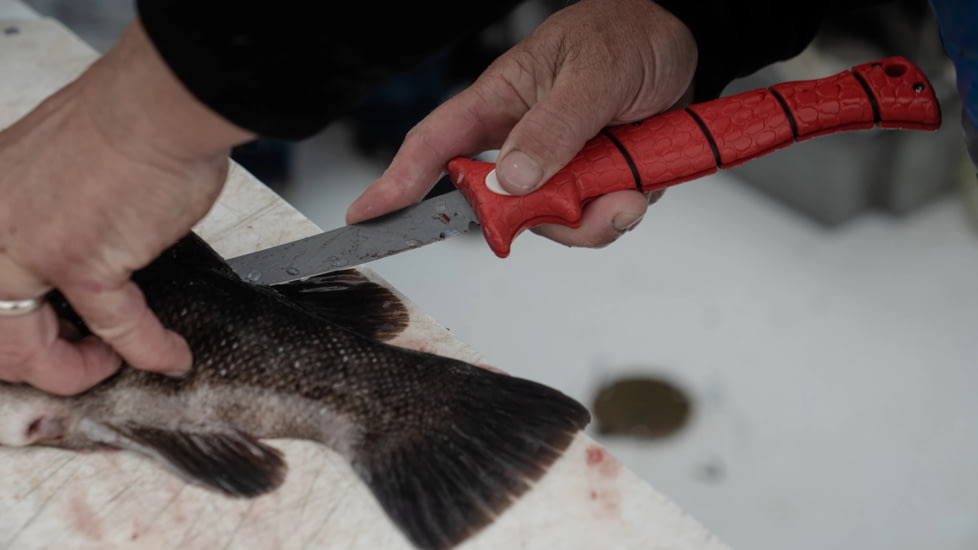 Bubba Blade Tapered Flex Folding Fishing Knife, 7in, TiN-Coated High Carbon Stainless Blade, 8in, Rubber Handle, 1112554