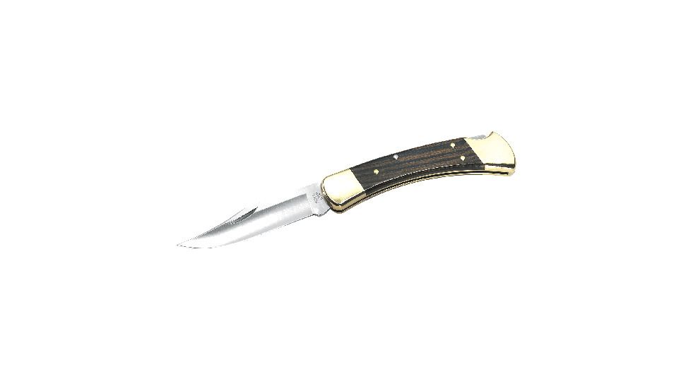 Buck Knives Folding Hunter Knife, Box, 0110BRS9210