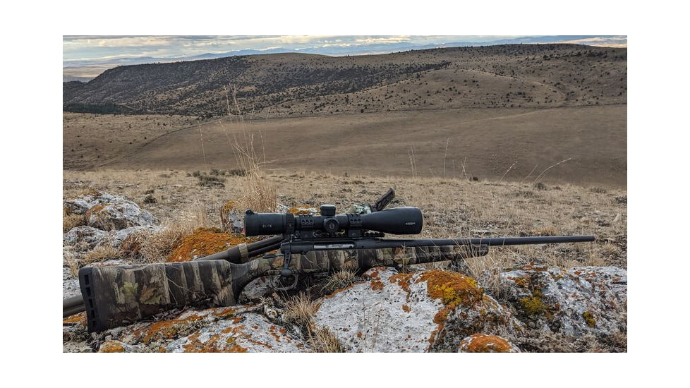 Bushnell 4-16x50 Elite 4500 Rifle Scope, 30 mm, Second Focal Plane, Multi-X, 50 MOA, Black, REL4165BS3