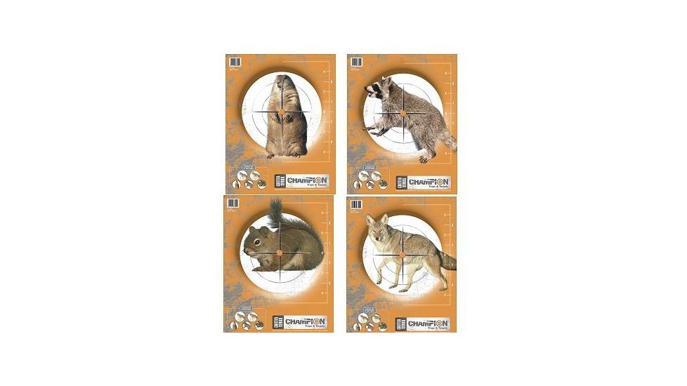 Champion Target Champion Practice Targets 10 Pack 45781