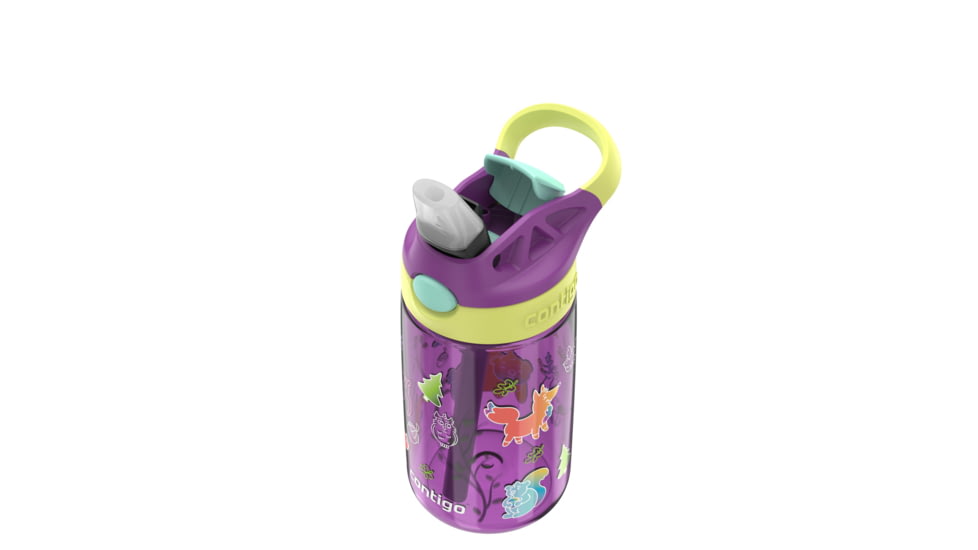Contigo Asclnbl PP Bottle, 14 oz, Grape Forest Haven, 14, CTPLASCLN2514-21