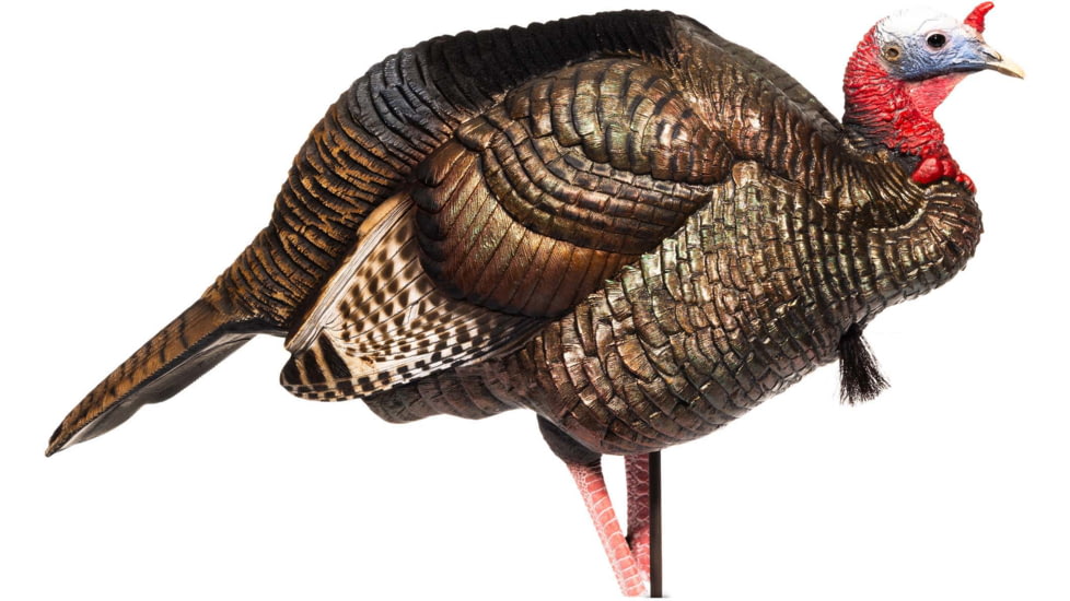 Dave Smith Decoys 3/4 Strut Jake Decoy