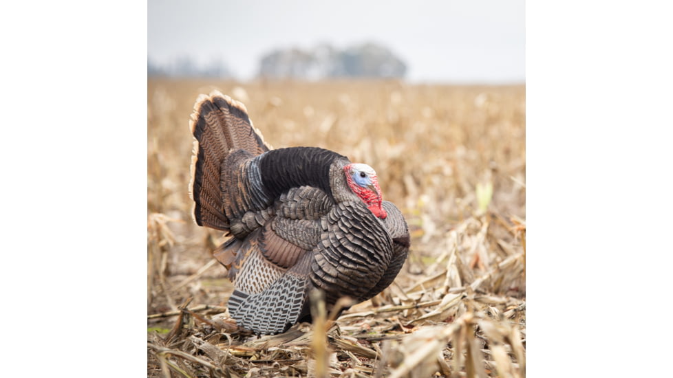 Dave Smith Decoys Jake Strutter Decoy