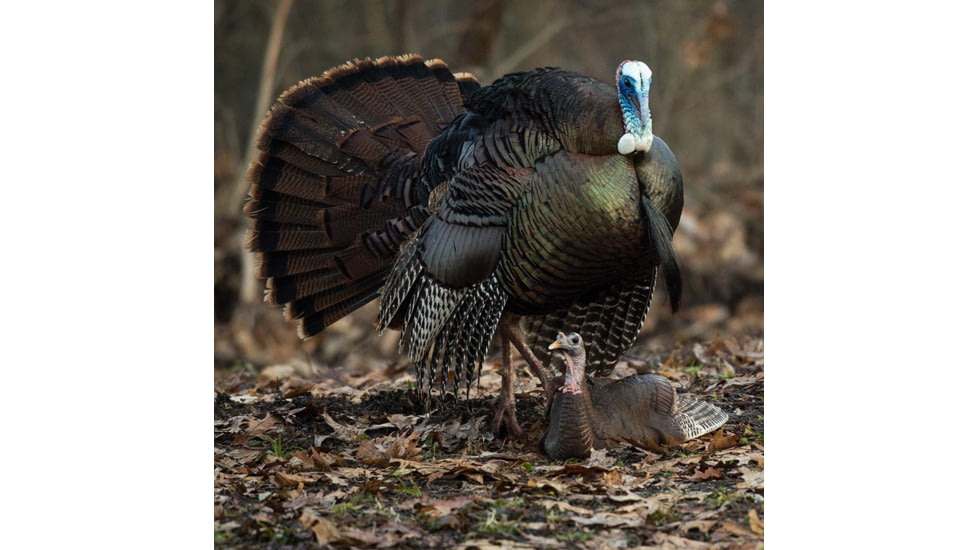 Dave Smith Decoys Mating Hen Decoy