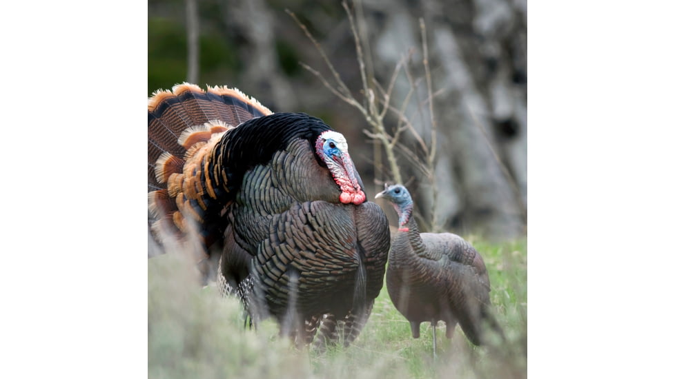 Dave Smith Decoys Upright Hen Decoy
