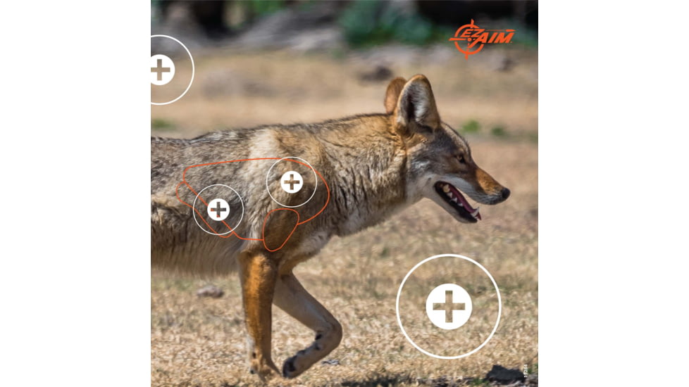 EZ-Aim Allen Paper Four Color Coyote Target, 25X35, 15284