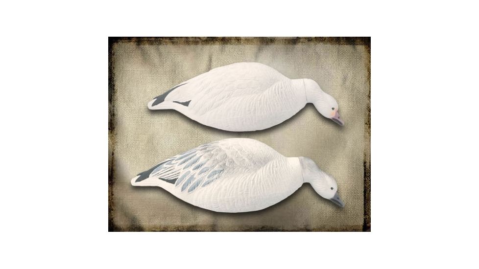 Final Approach Last Pass 12 Pack Snow Goose, Shells Feeder, Box